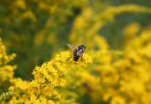 Üretime Değil, Tüketime Ara Verdik.