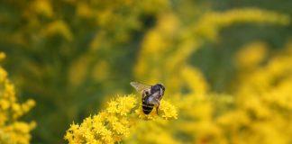 Üretime Değil, Tüketime Ara Verdik.
