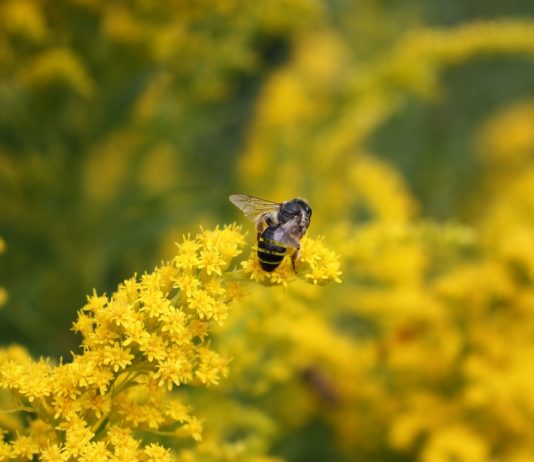 Üretime Değil, Tüketime Ara Verdik.