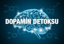 DOPAMİN DETOKSU