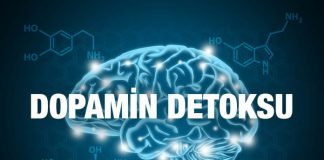 DOPAMİN DETOKSU